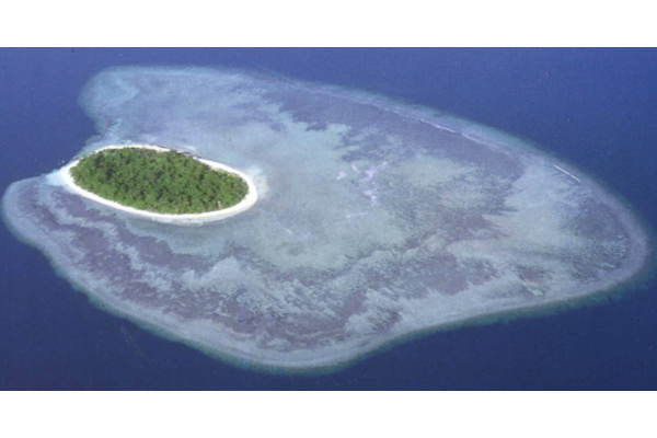 Sipadan: l’isola delle tartarughe